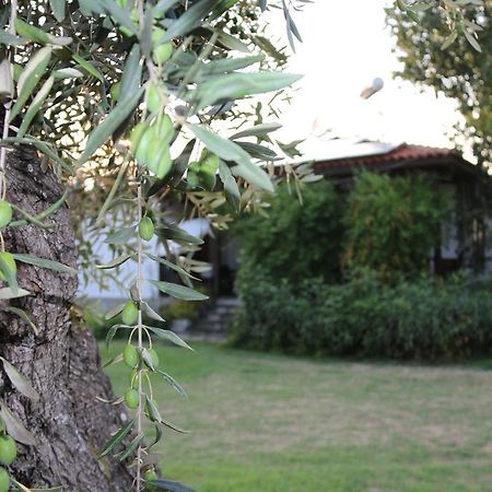 Patroudis House Daire Skala Rachoni  Dış mekan fotoğraf