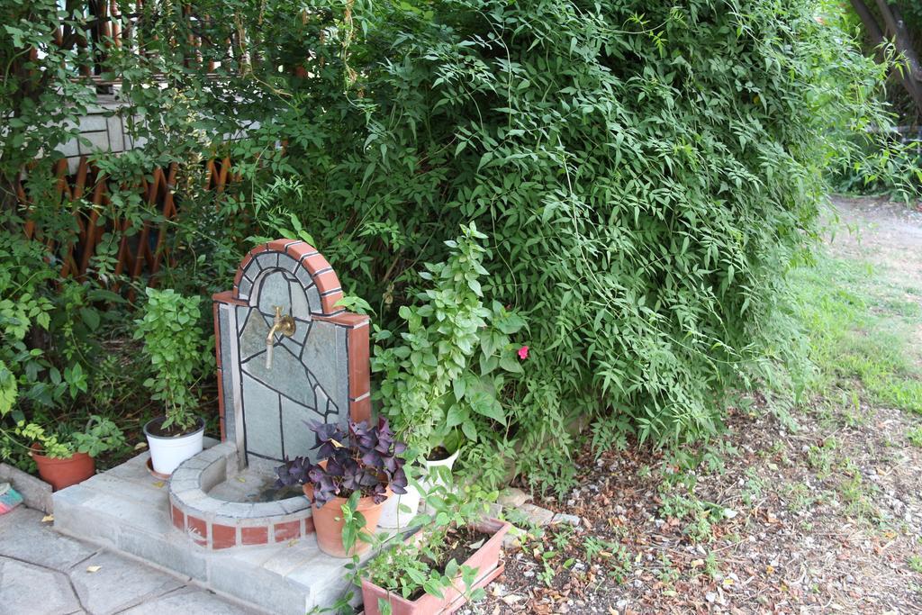 Patroudis House Daire Skala Rachoni  Dış mekan fotoğraf