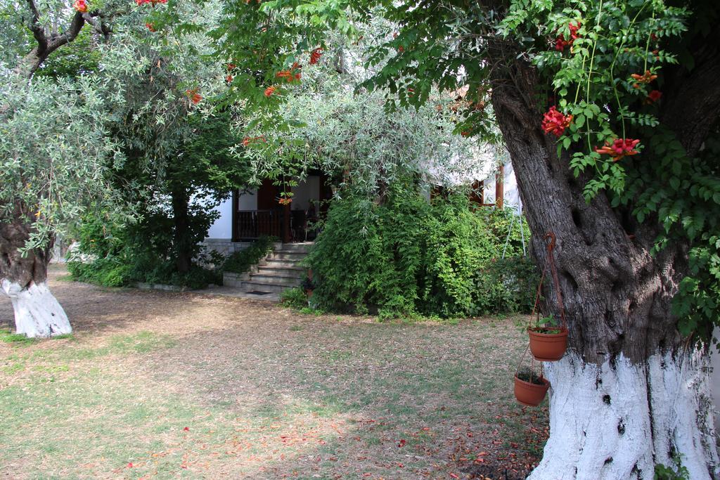 Patroudis House Daire Skala Rachoni  Oda fotoğraf