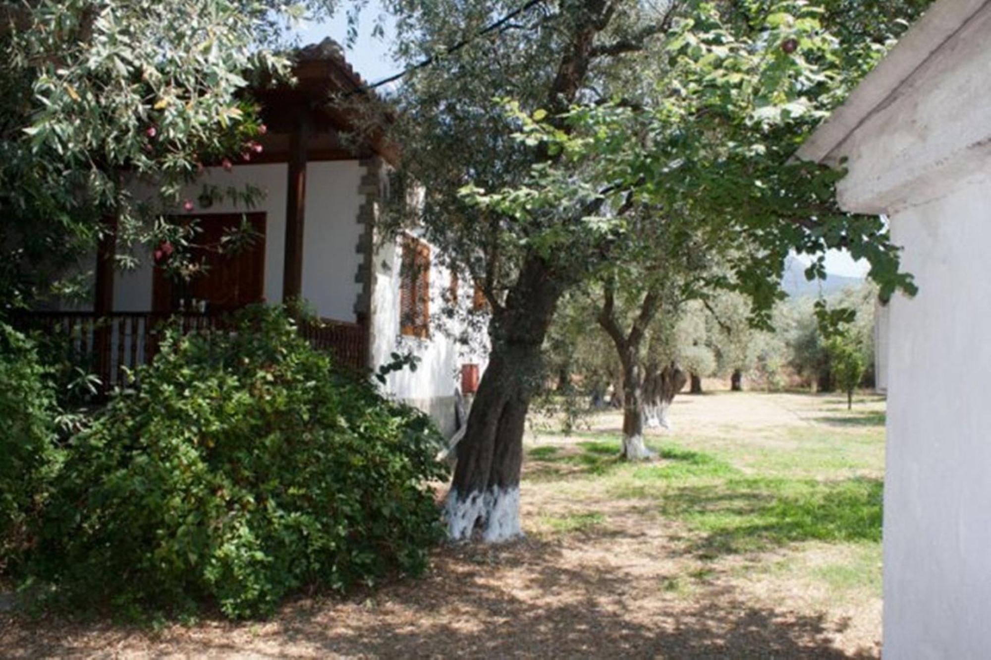 Patroudis House Daire Skala Rachoni  Dış mekan fotoğraf