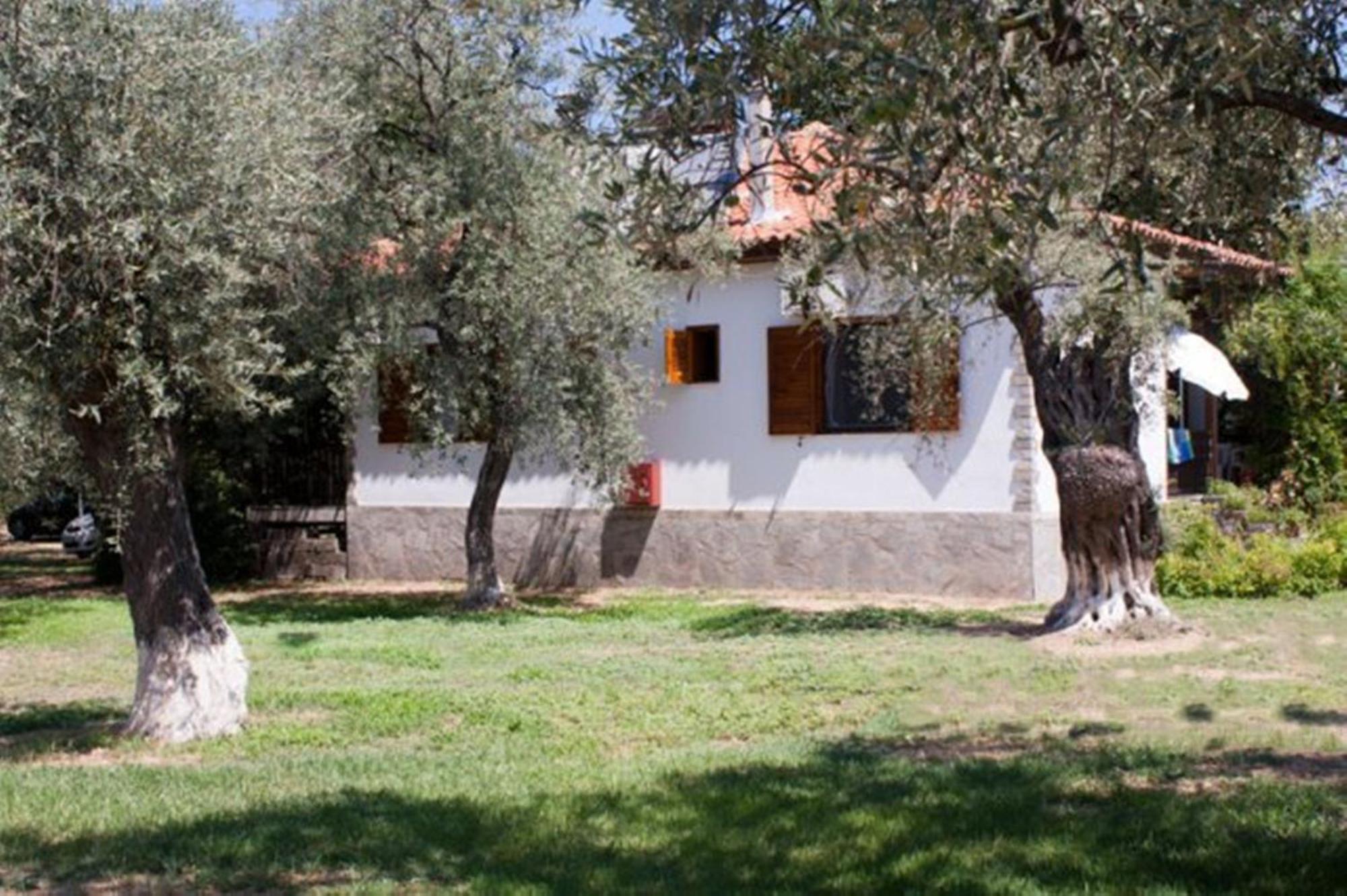 Patroudis House Daire Skala Rachoni  Dış mekan fotoğraf